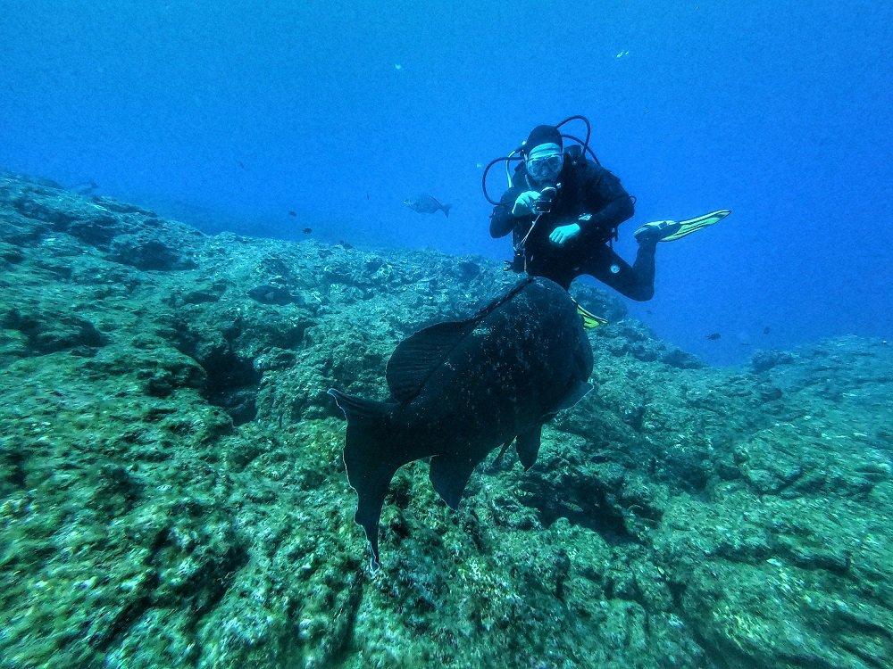 Deep Sea Diving in Andaman