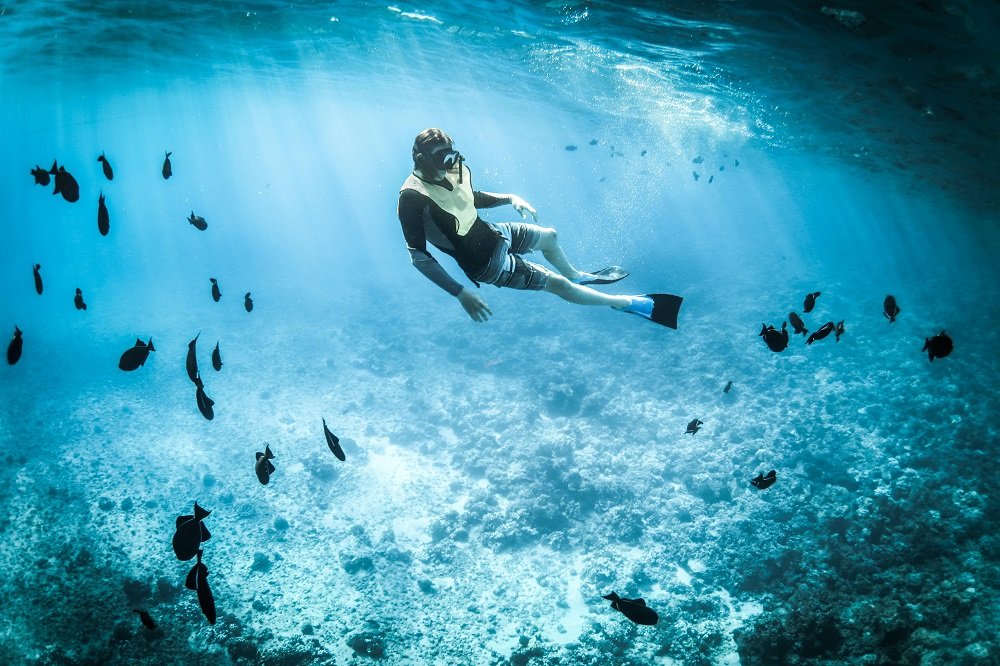 Snorkeling In Andaman At Elephant Beach