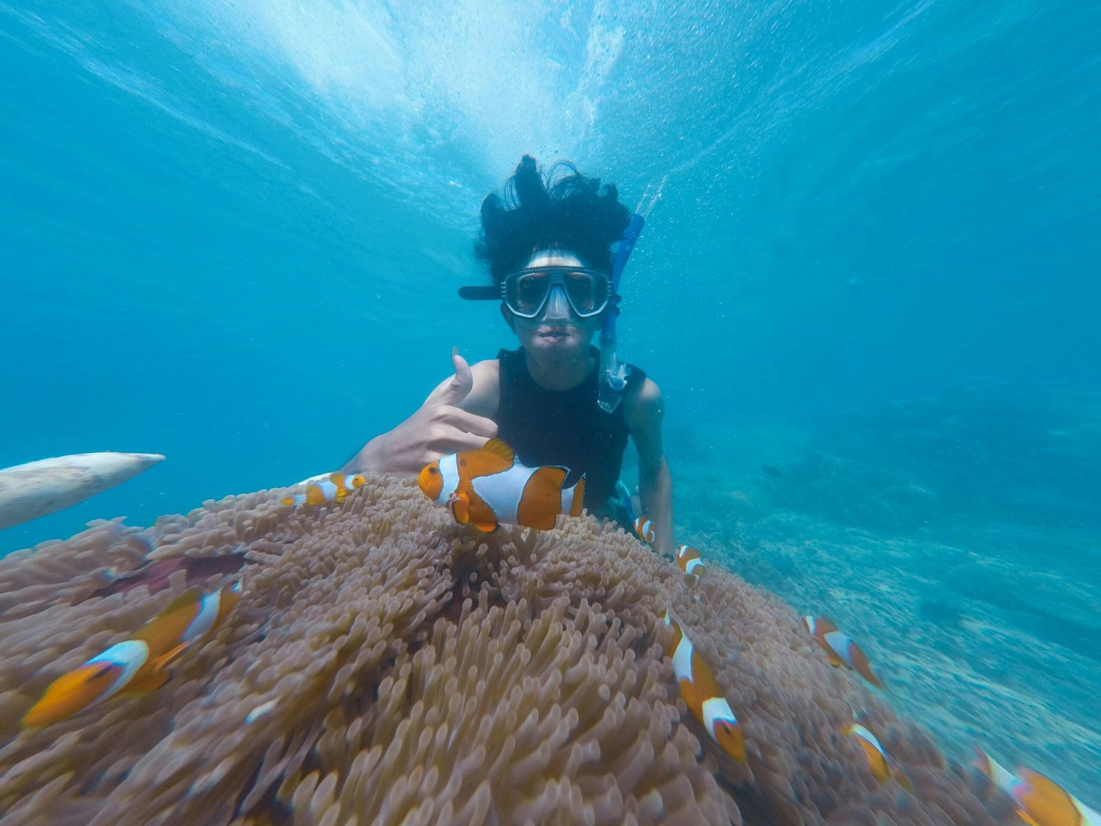 Tips For Snorkeling In Andaman