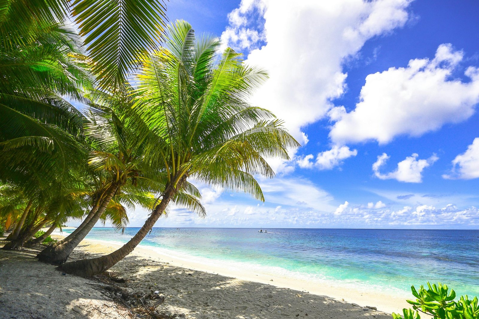 How To Reach Elephant Beach From Havelock Island