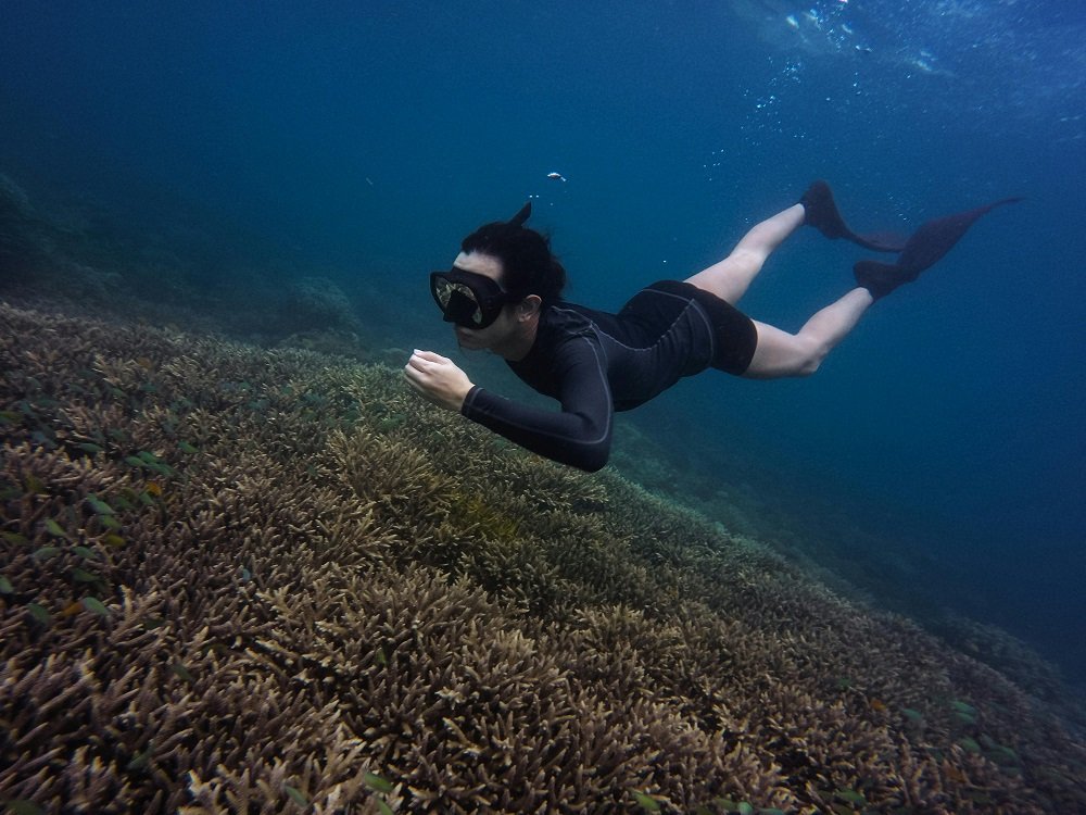 Scuba diving Radhanagar Beach