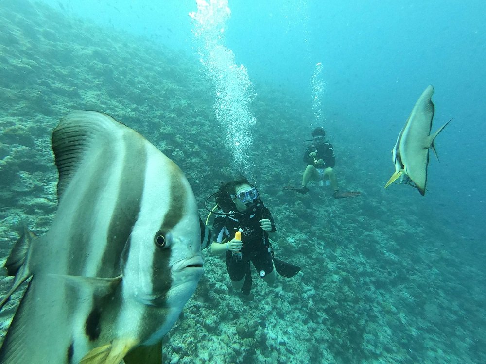 Snorkeling at Radhanagar Beach