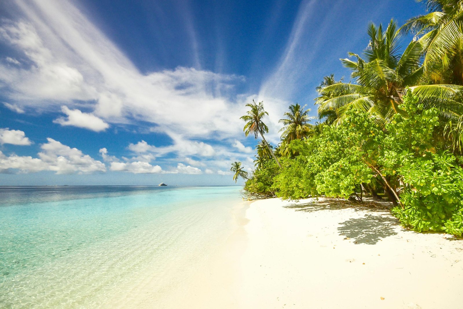 The best time to visit Elephant Beach