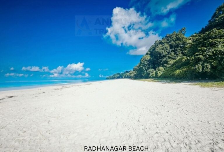 About Andaman Travel Care