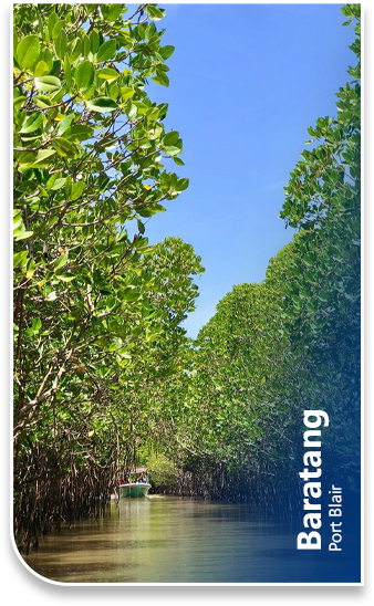 Baratang Port Blair