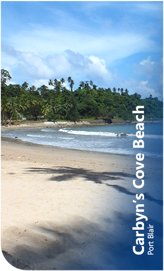 Carbyn’s Cove Beach Port Blair