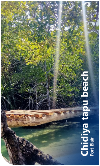 Chidiya tapu beach Port Blair