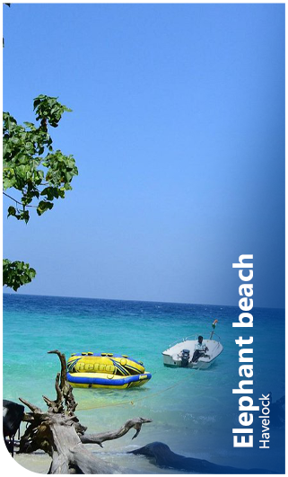 Elephant beach Havelock