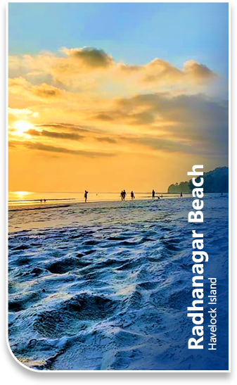 Radhanagar Beach Havelock Island