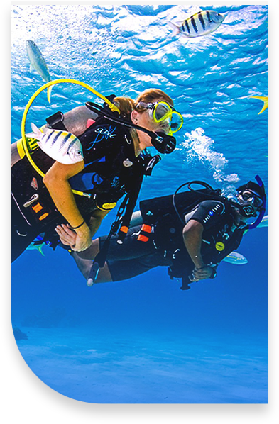 Scuba