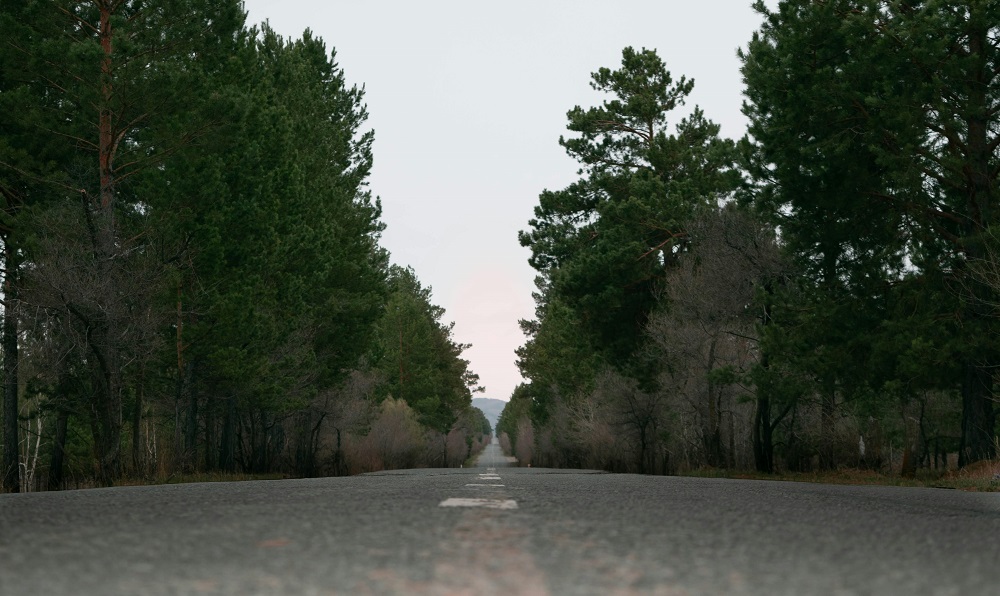 How to reach Mahatma National Park