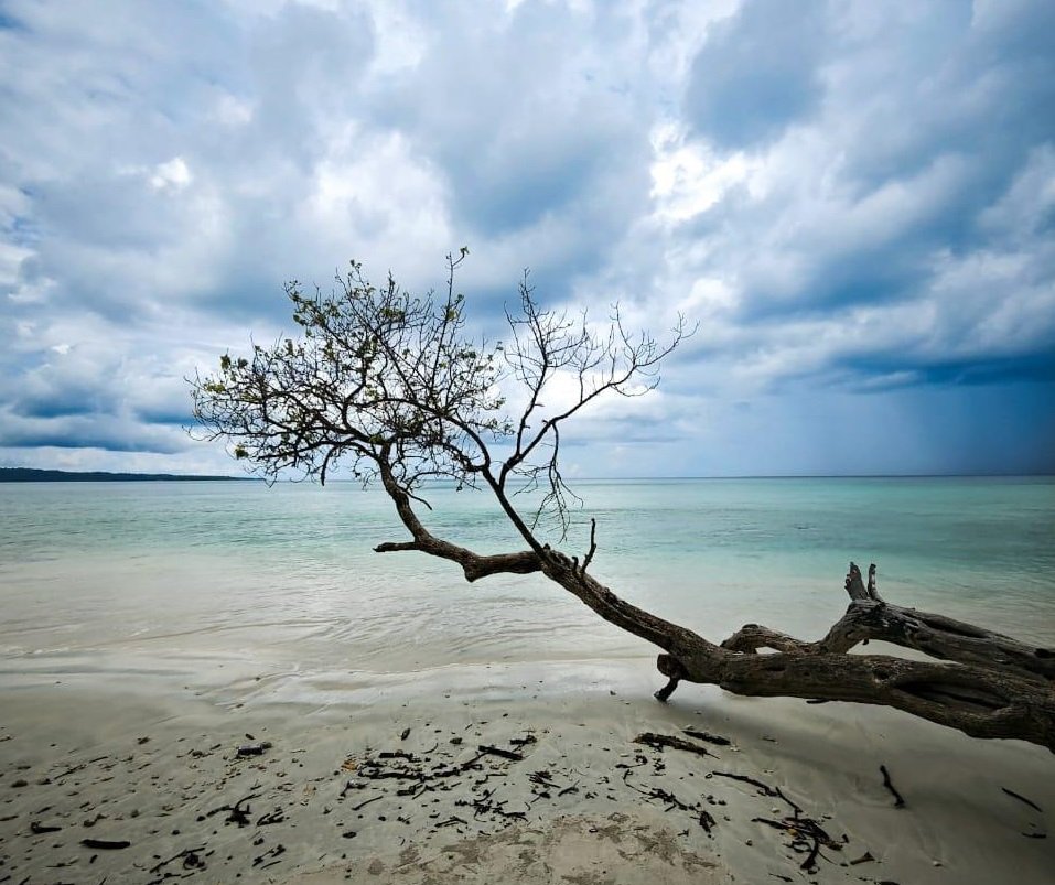 • 6 nights 7 days Andaman tour package for a relaxed pace
