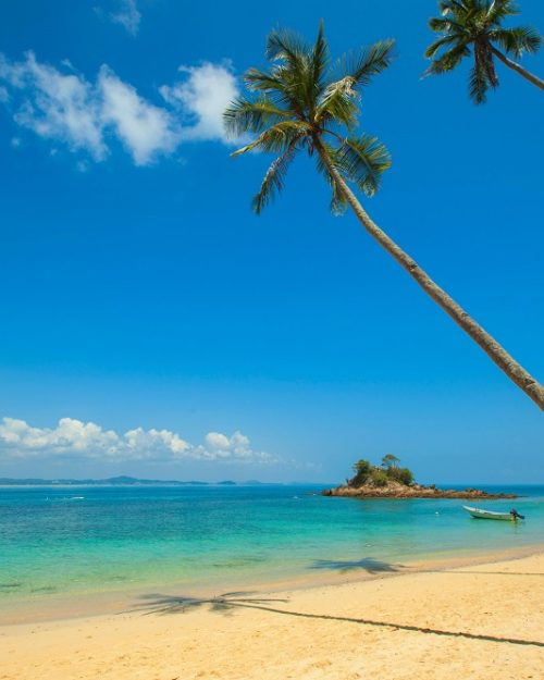 Chidiya Tapu Beach