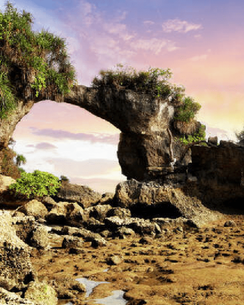 Highlights of Natural Bridge and Neil Island