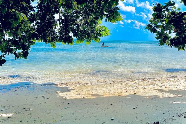 Ocean tree beach resort main 2