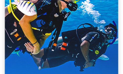 Scuba-1.png